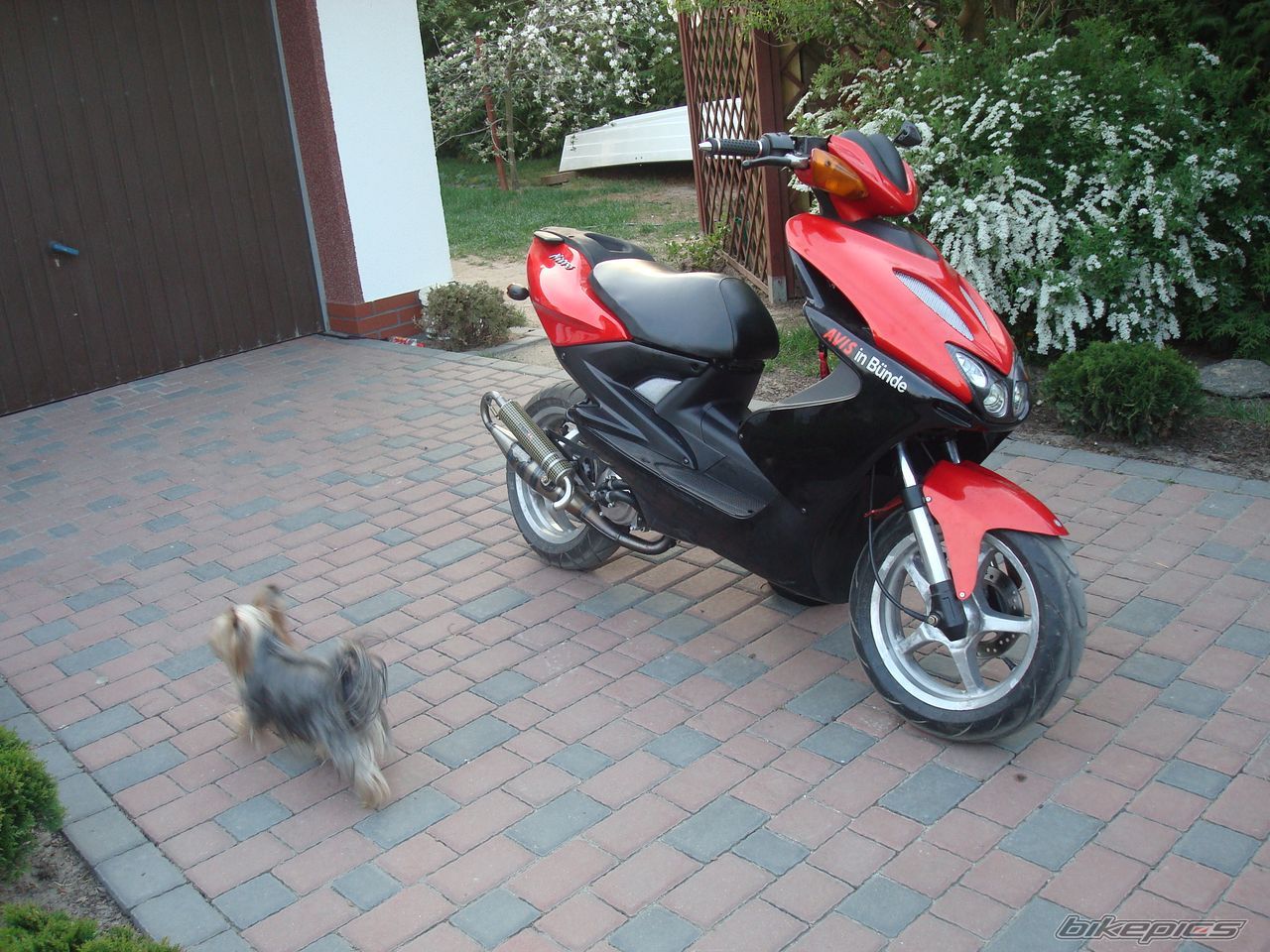Bike Photo 1717897