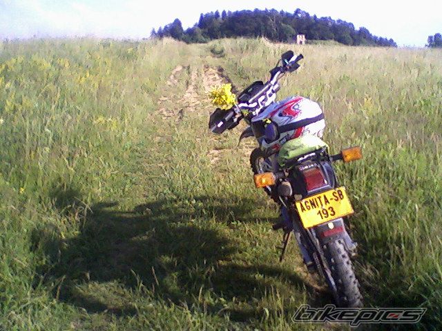 Photo 1717917