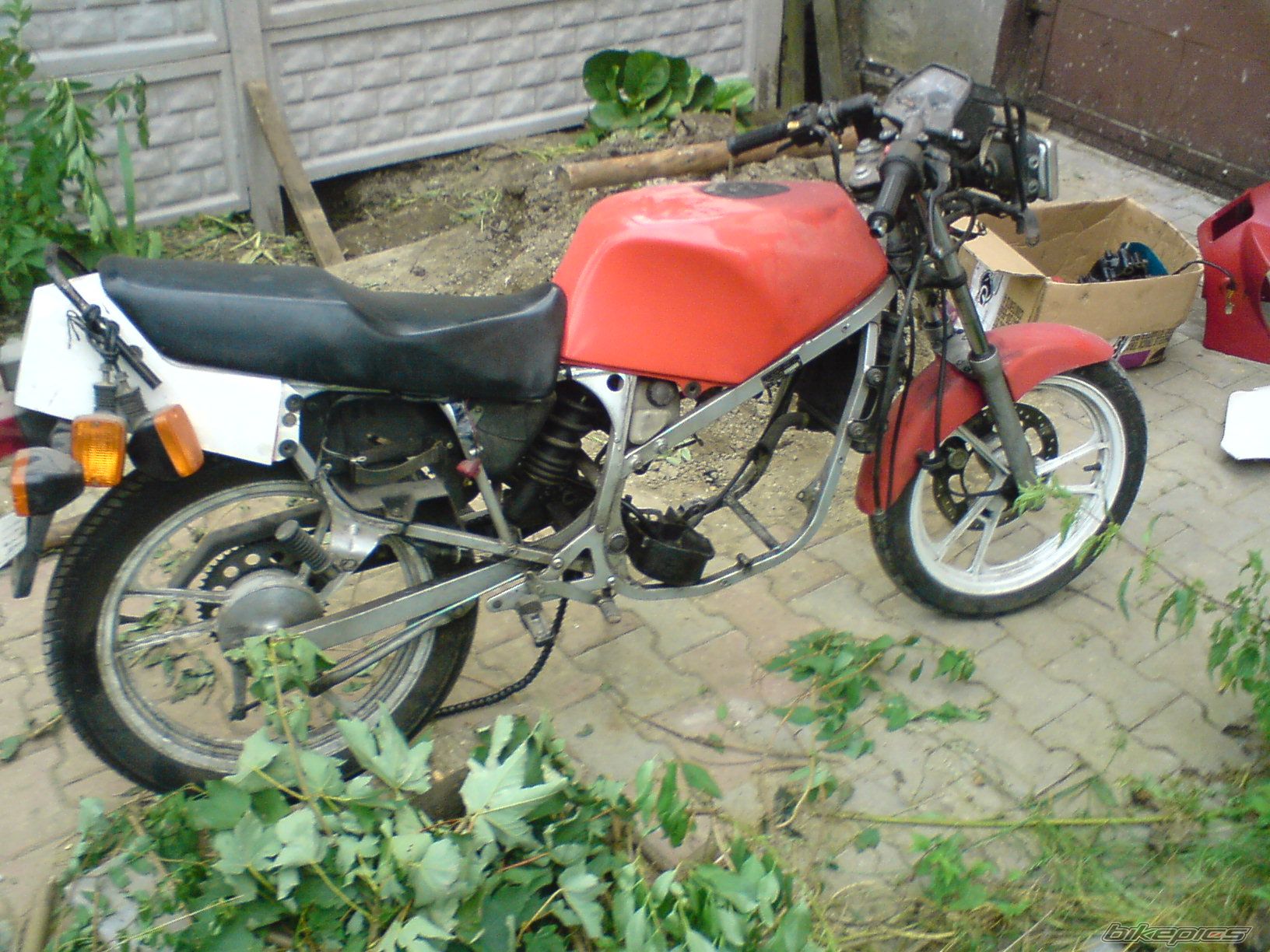 Photo 1717929