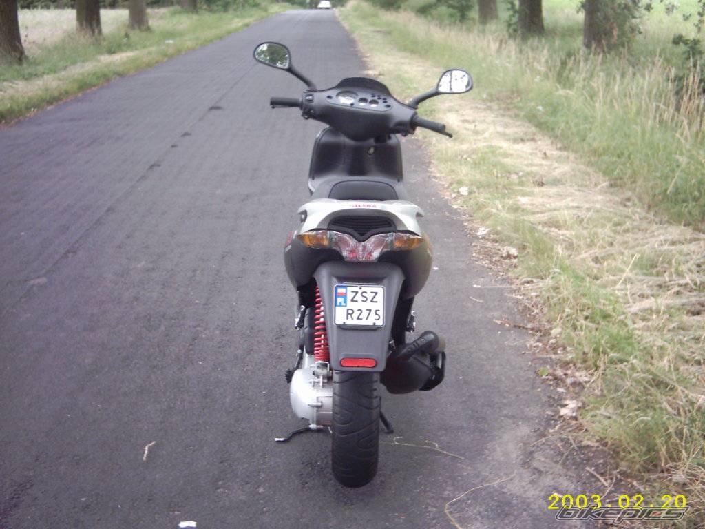 Photo 171801