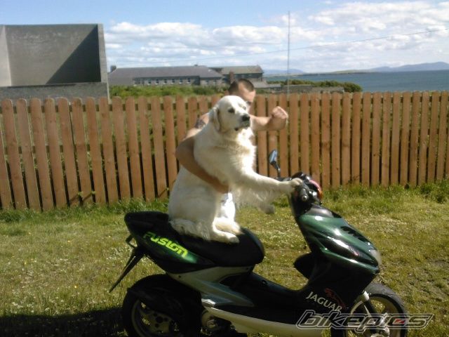 Photo 1718303