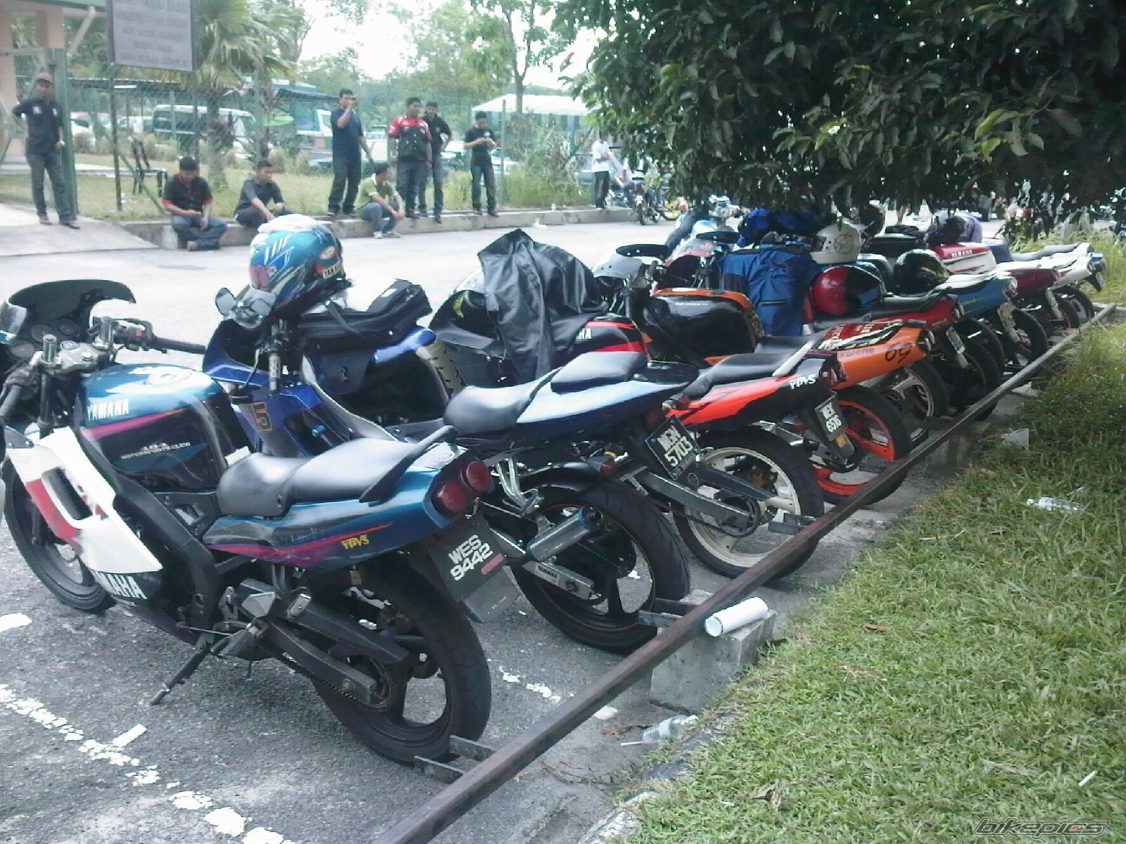 Photo 1718494
