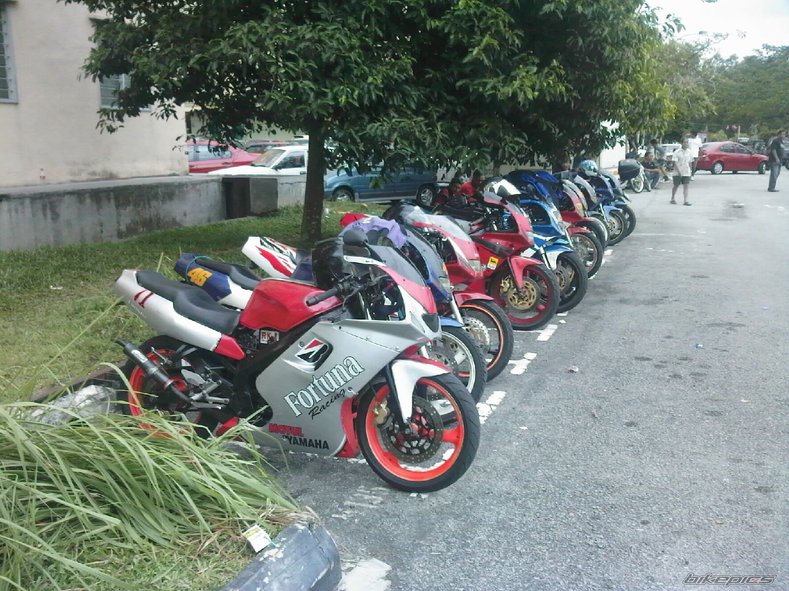 Photo 1718495