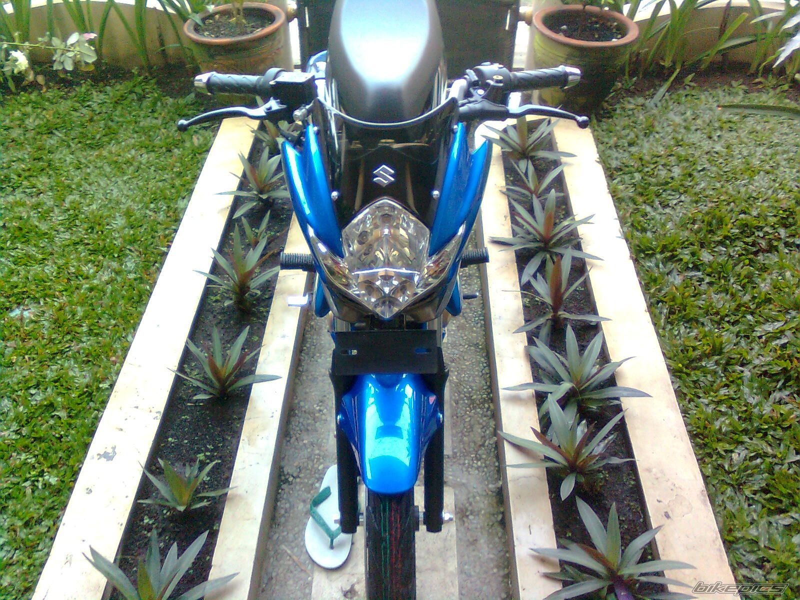Photo 1718733