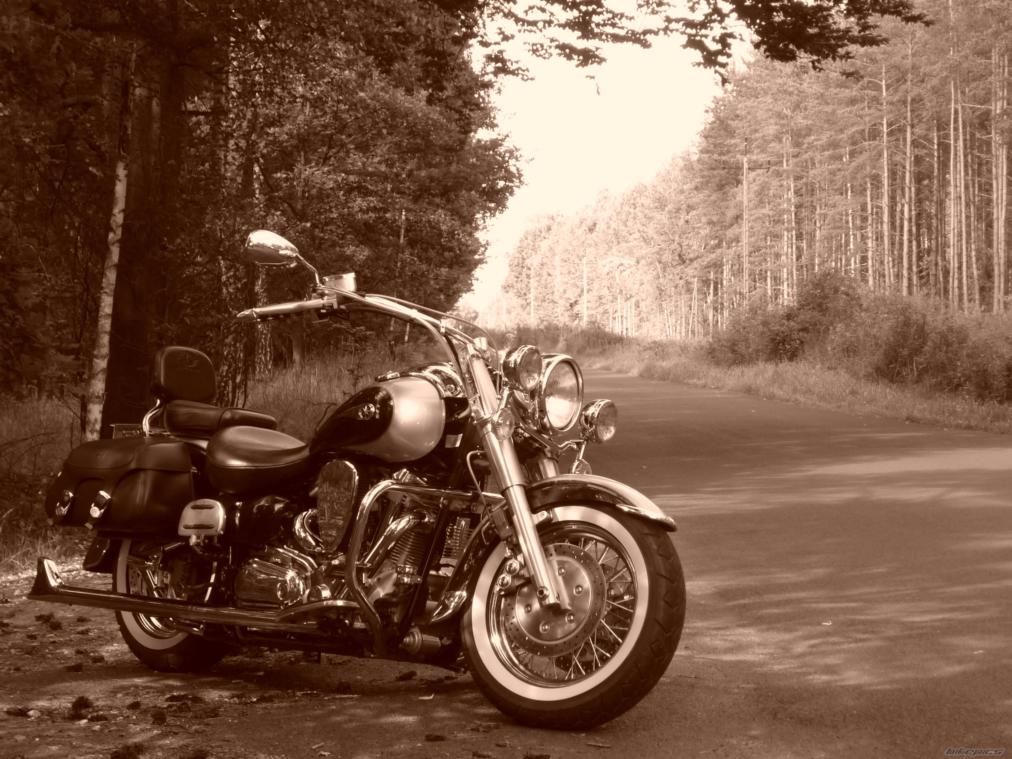 Bike Photo 1718856