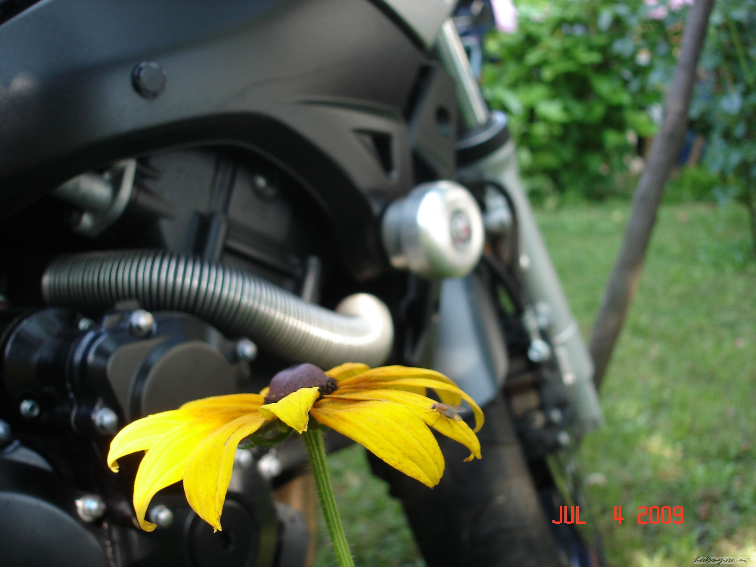 Bike Photo 1718872