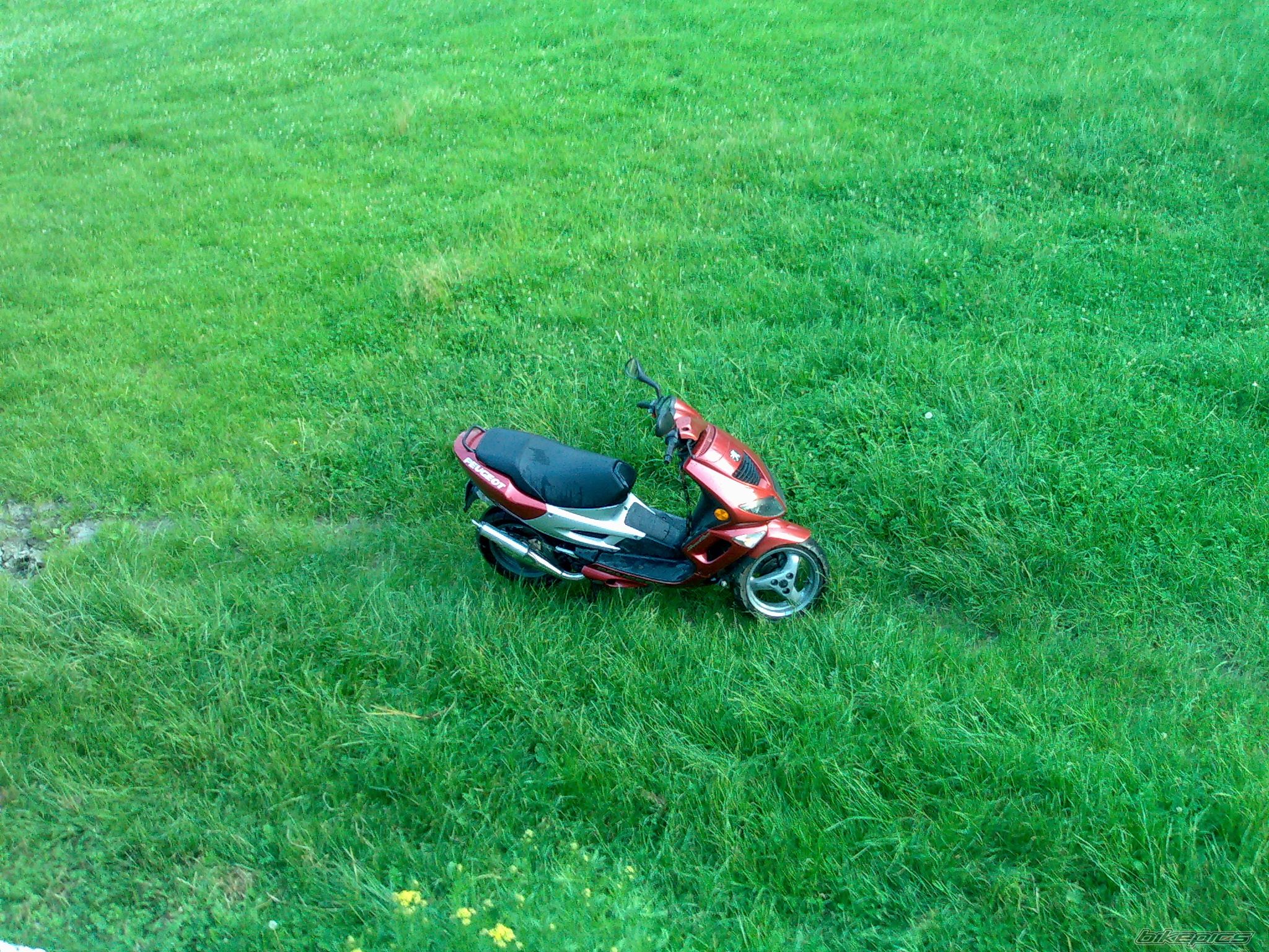Photo 1719214