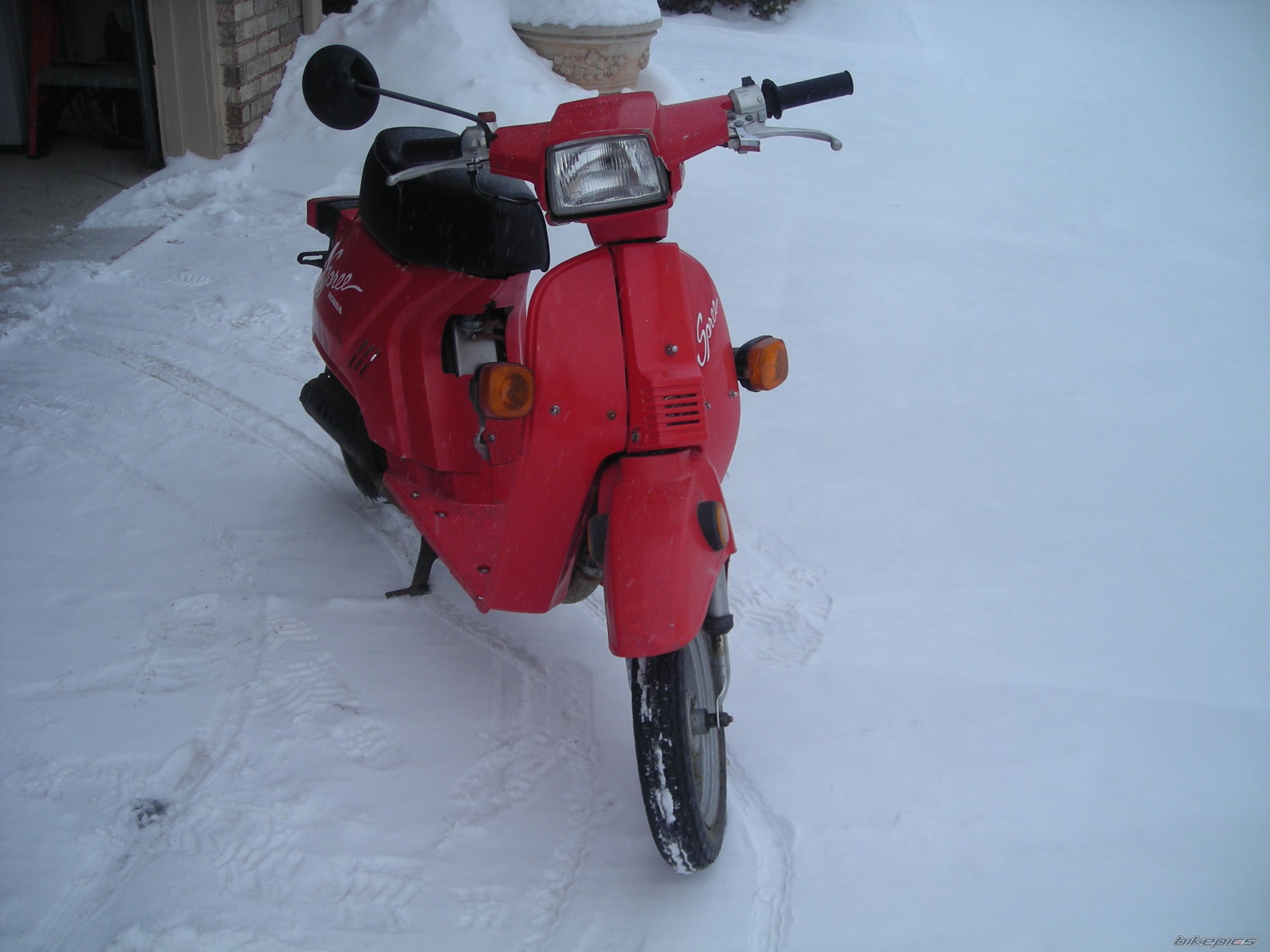 Photo 1719346