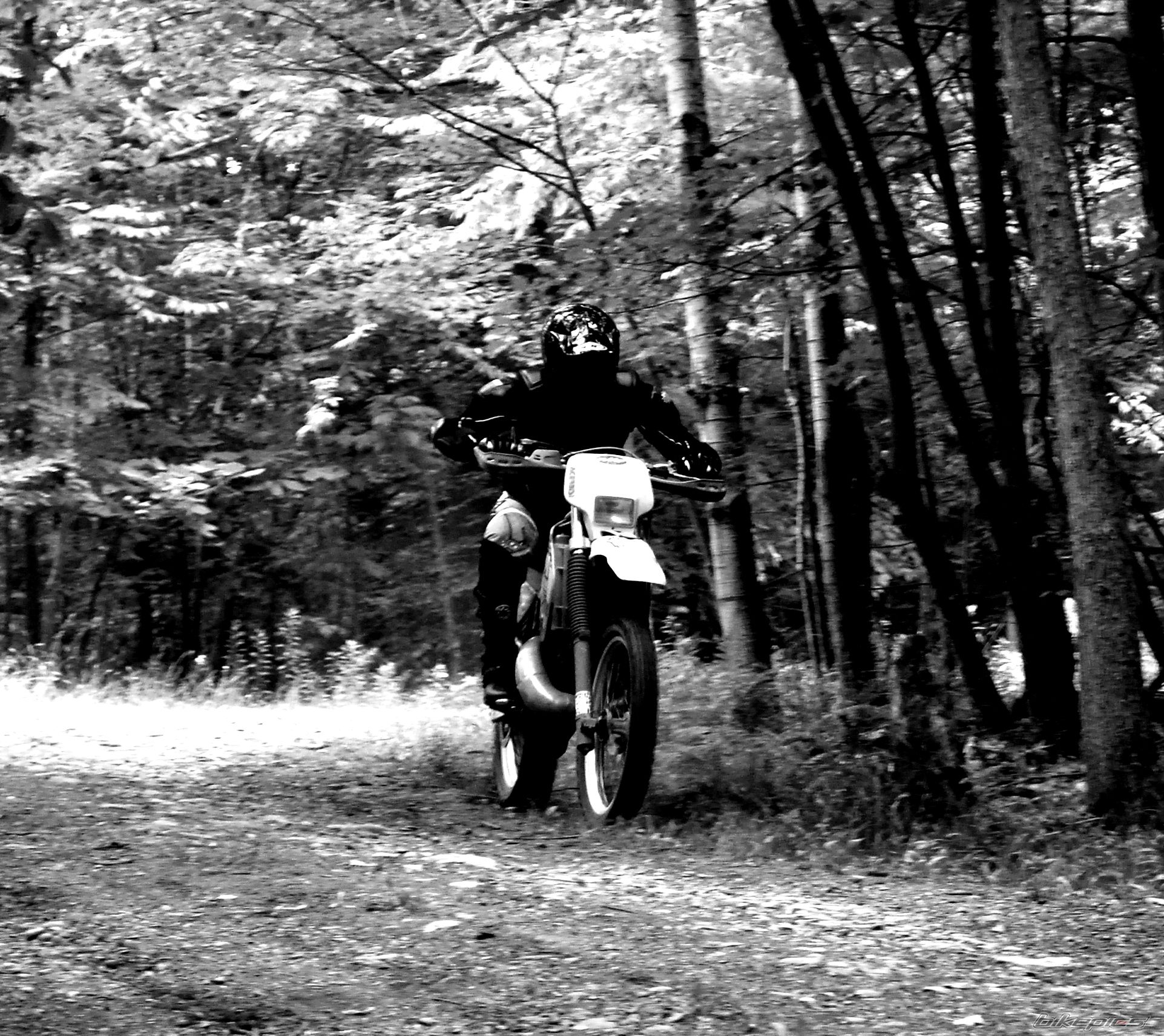 Bike Photo 1719388