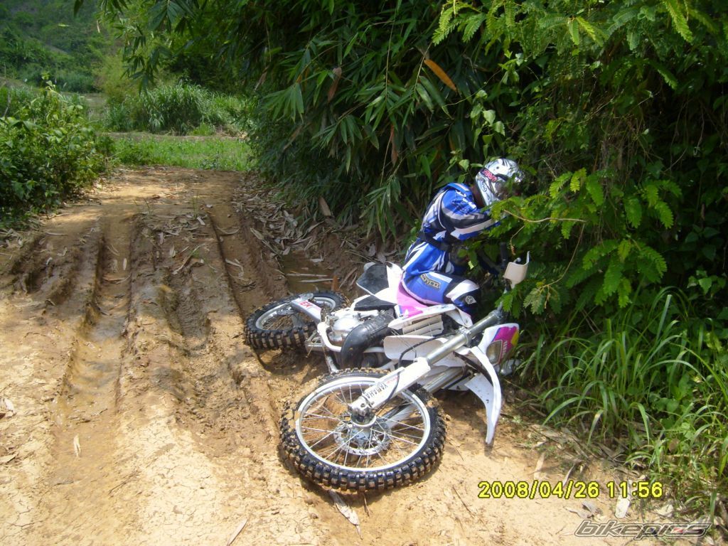 Photo 1719520