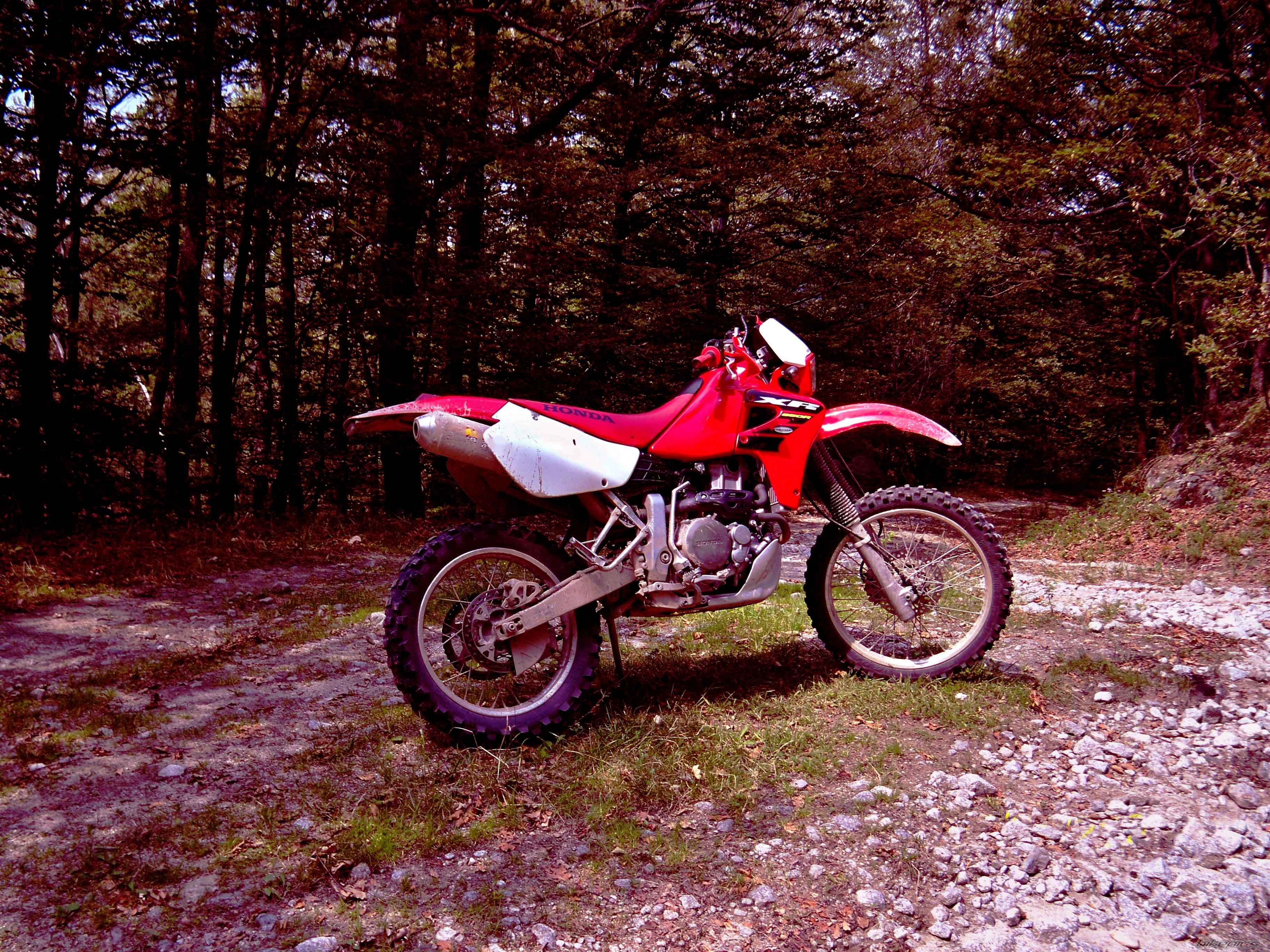 Photo 1719815