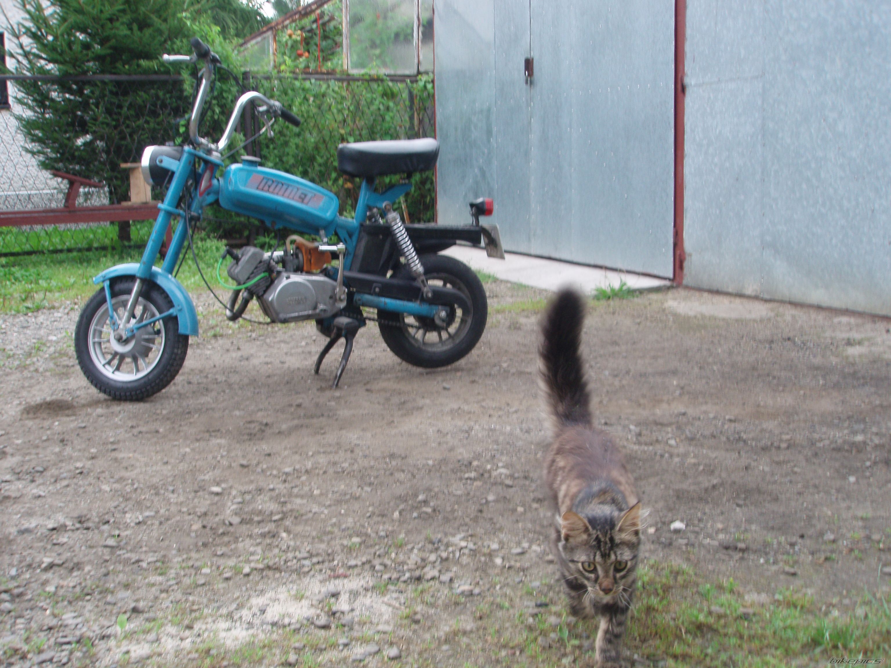Bike Photo 1719925