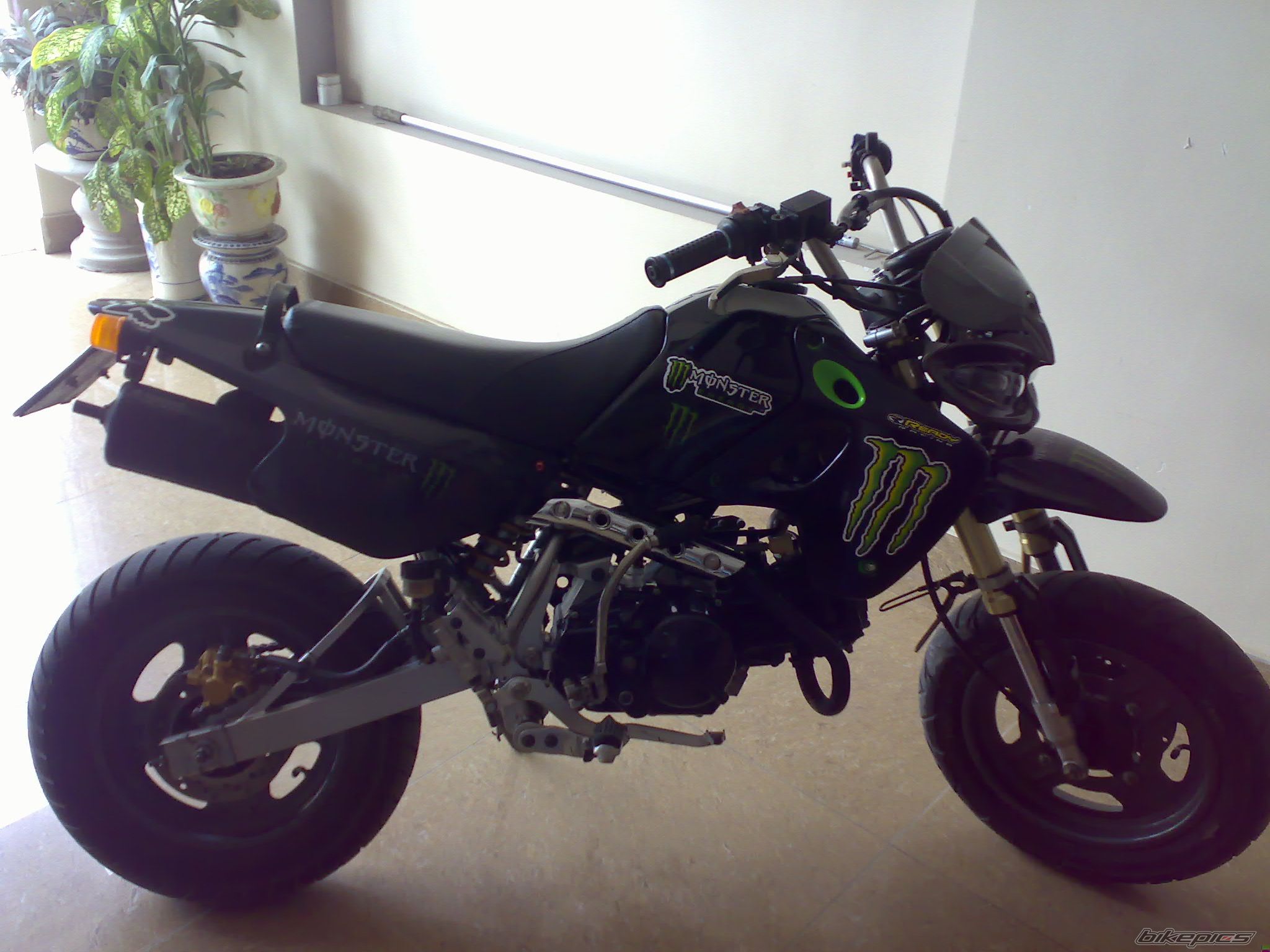 Photo 1720054