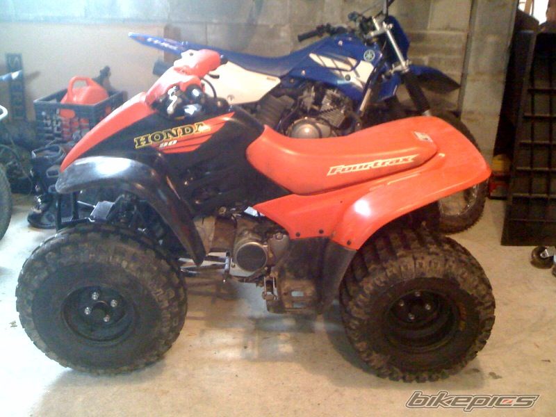 Photo 1720095