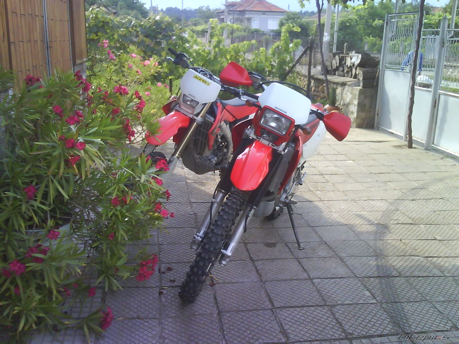 Photo 1720114