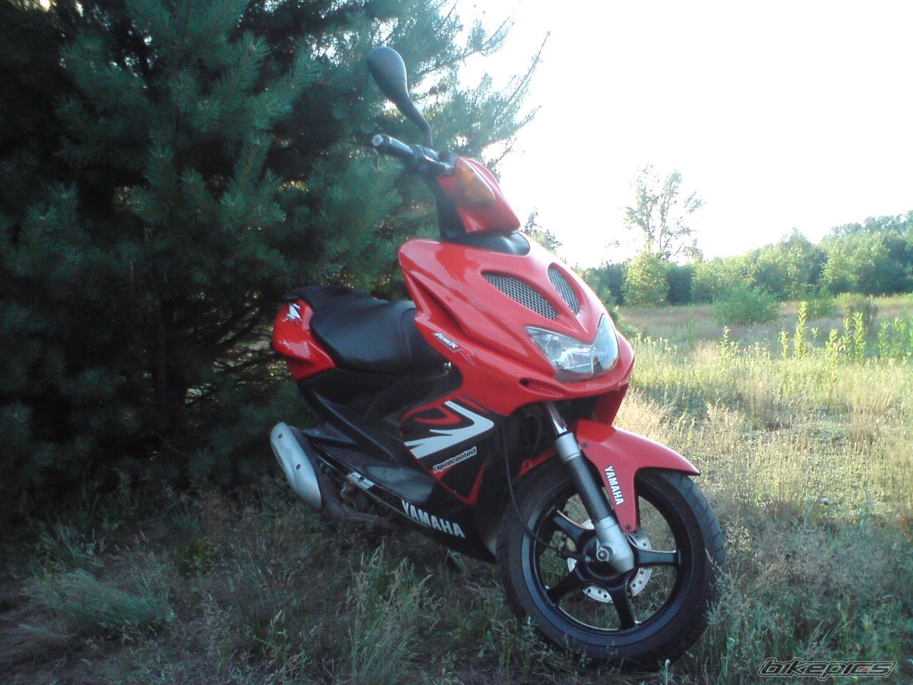 Photo 1720130
