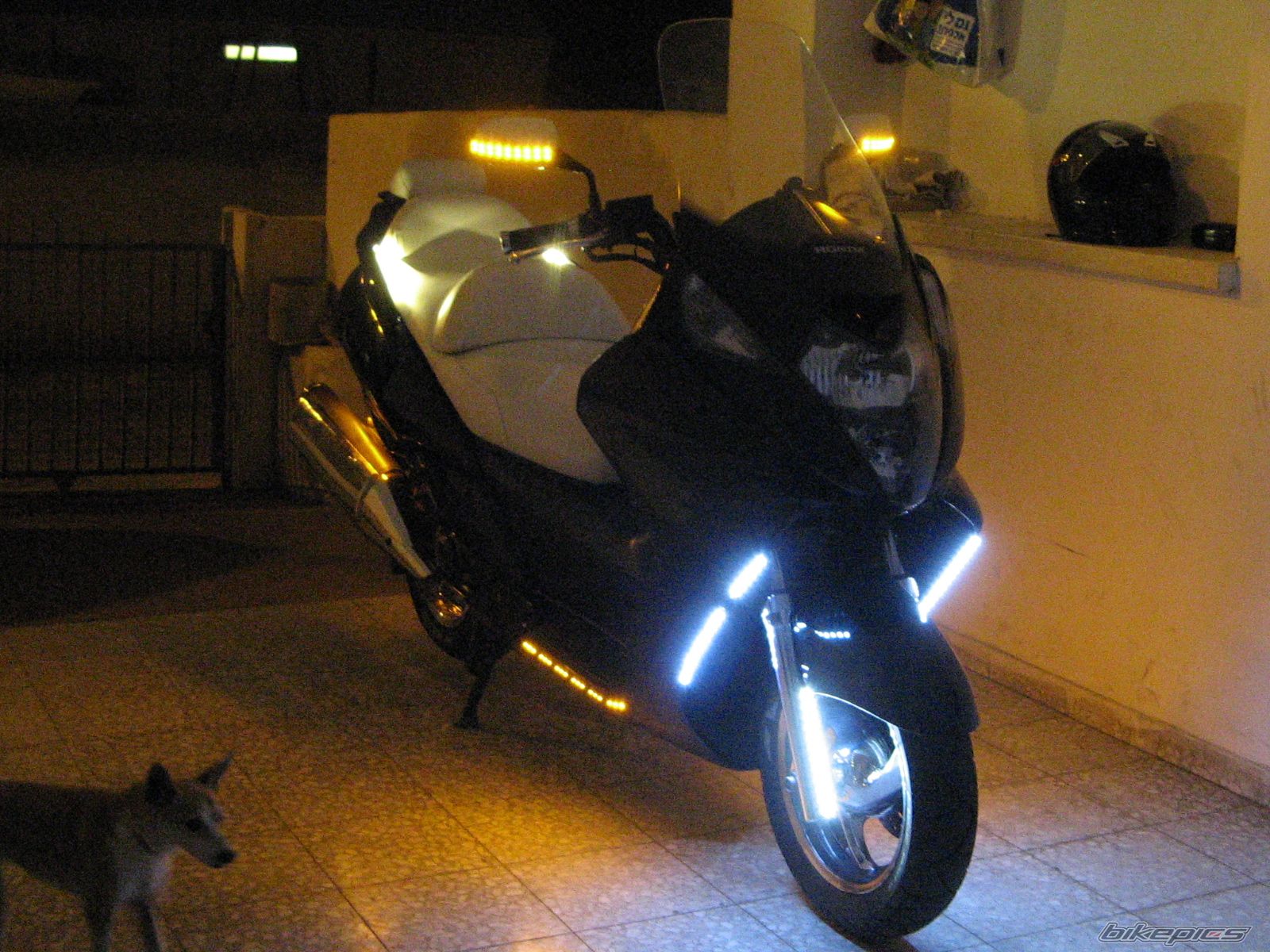 Photo 1720474