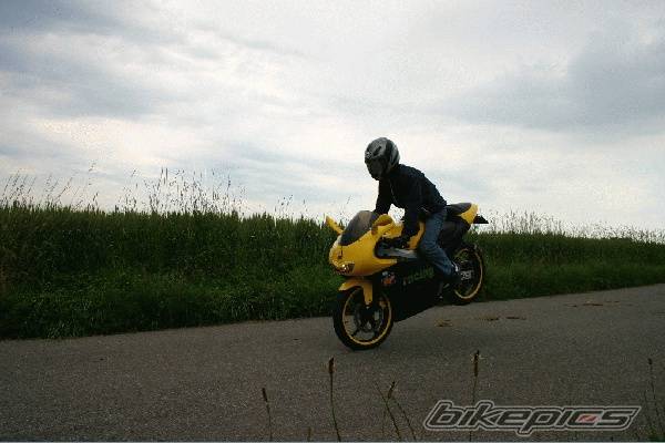 Photo 172054