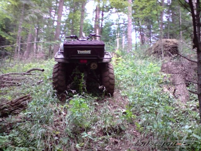 Photo 1720586