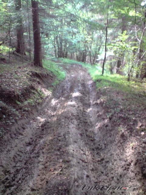 Photo 1720607