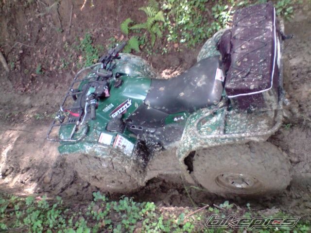 Photo 1720608