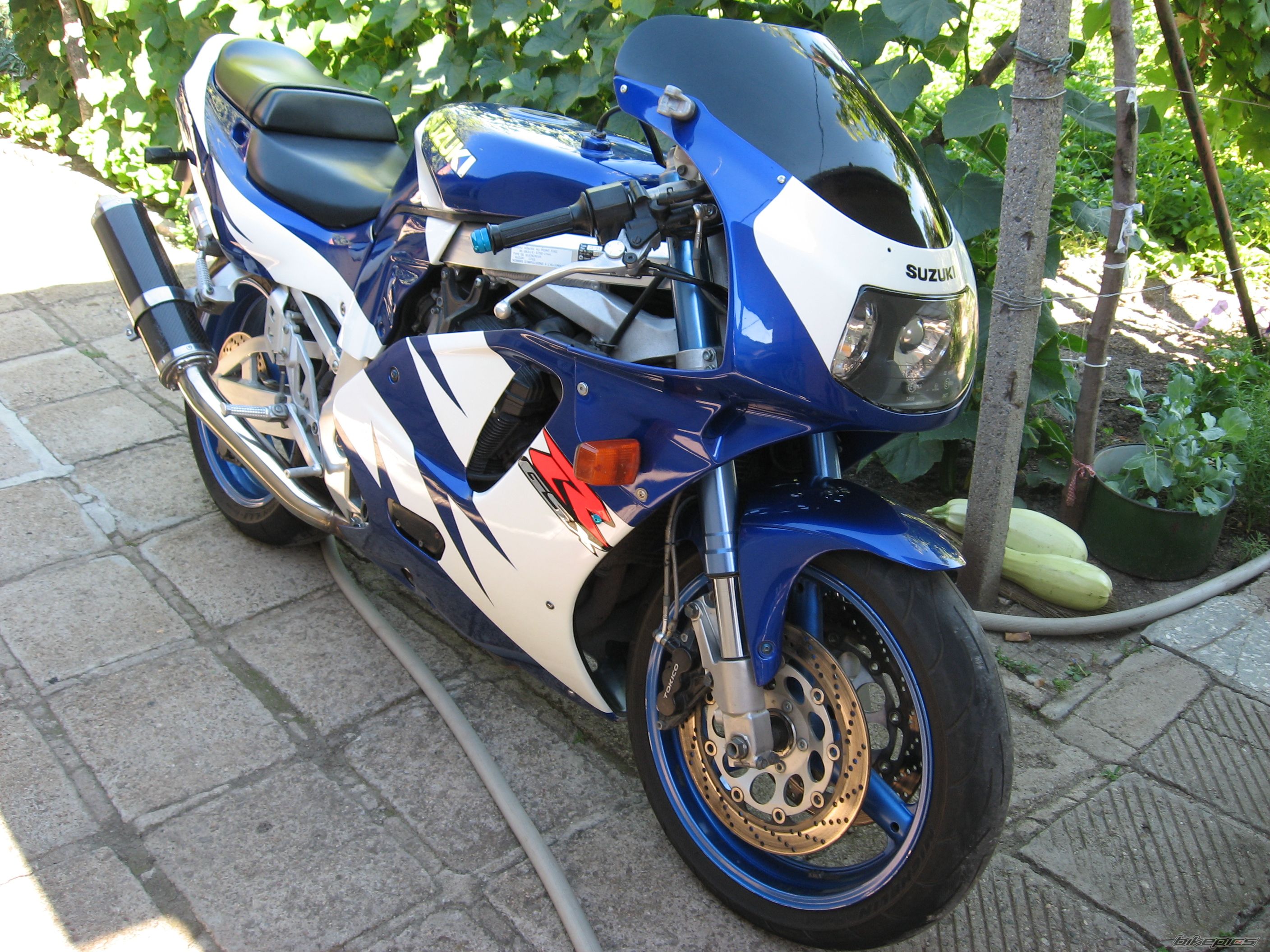 Photo 1720686