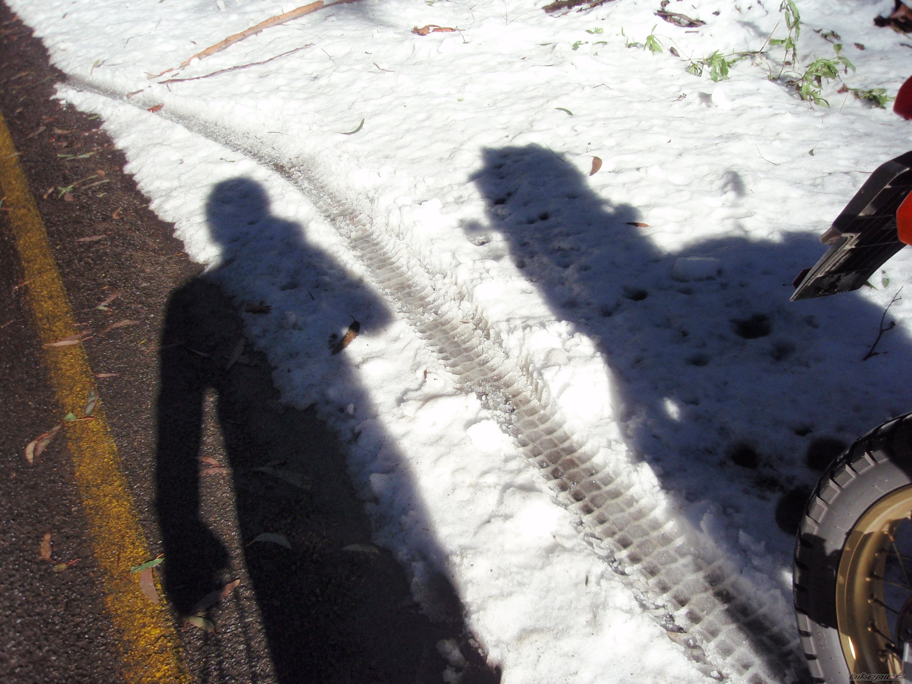 Photo 1720749