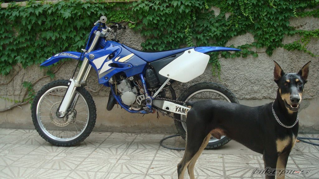 Photo 1720765