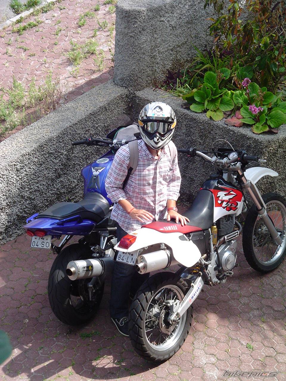 Photo 172114