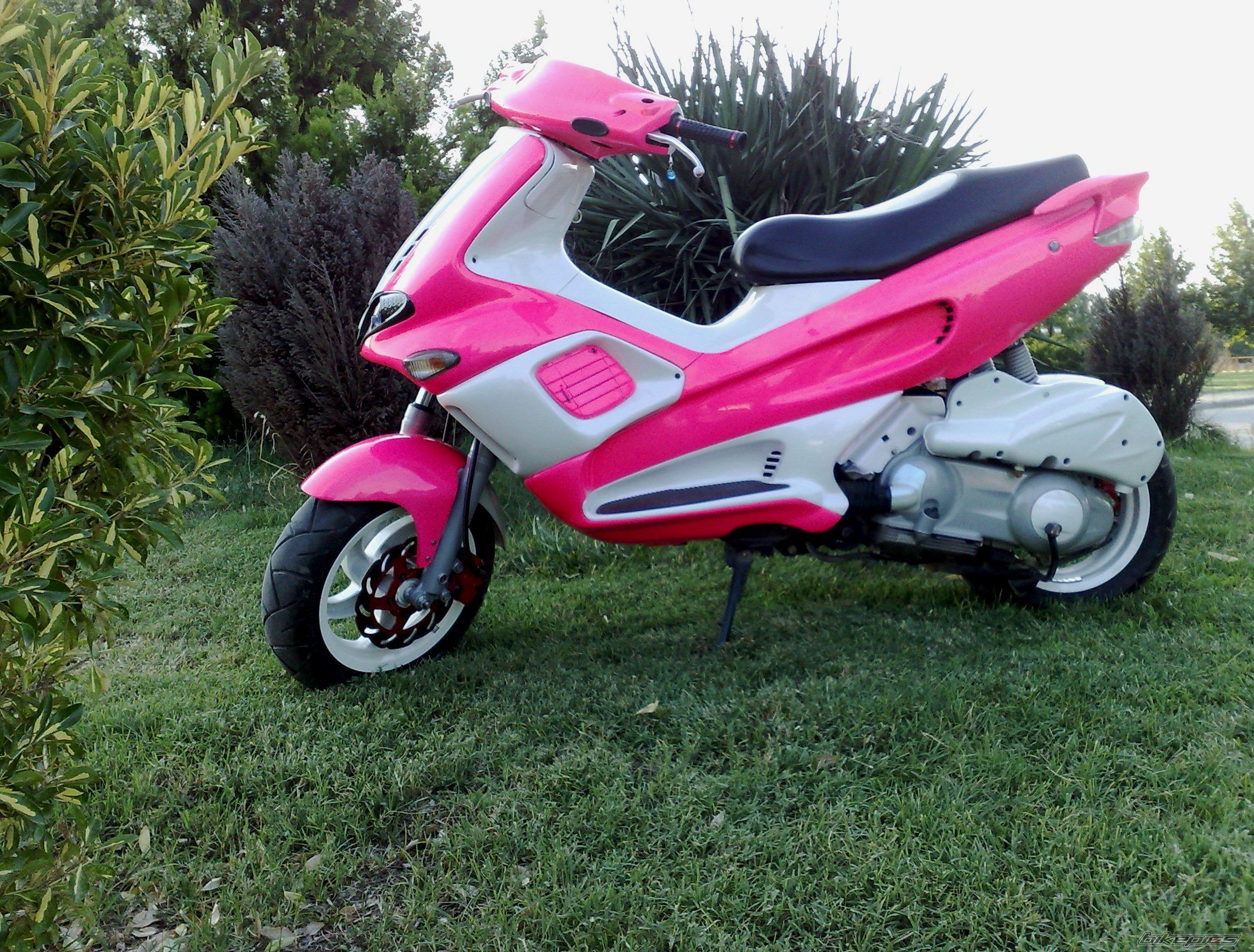 Photo 1721149