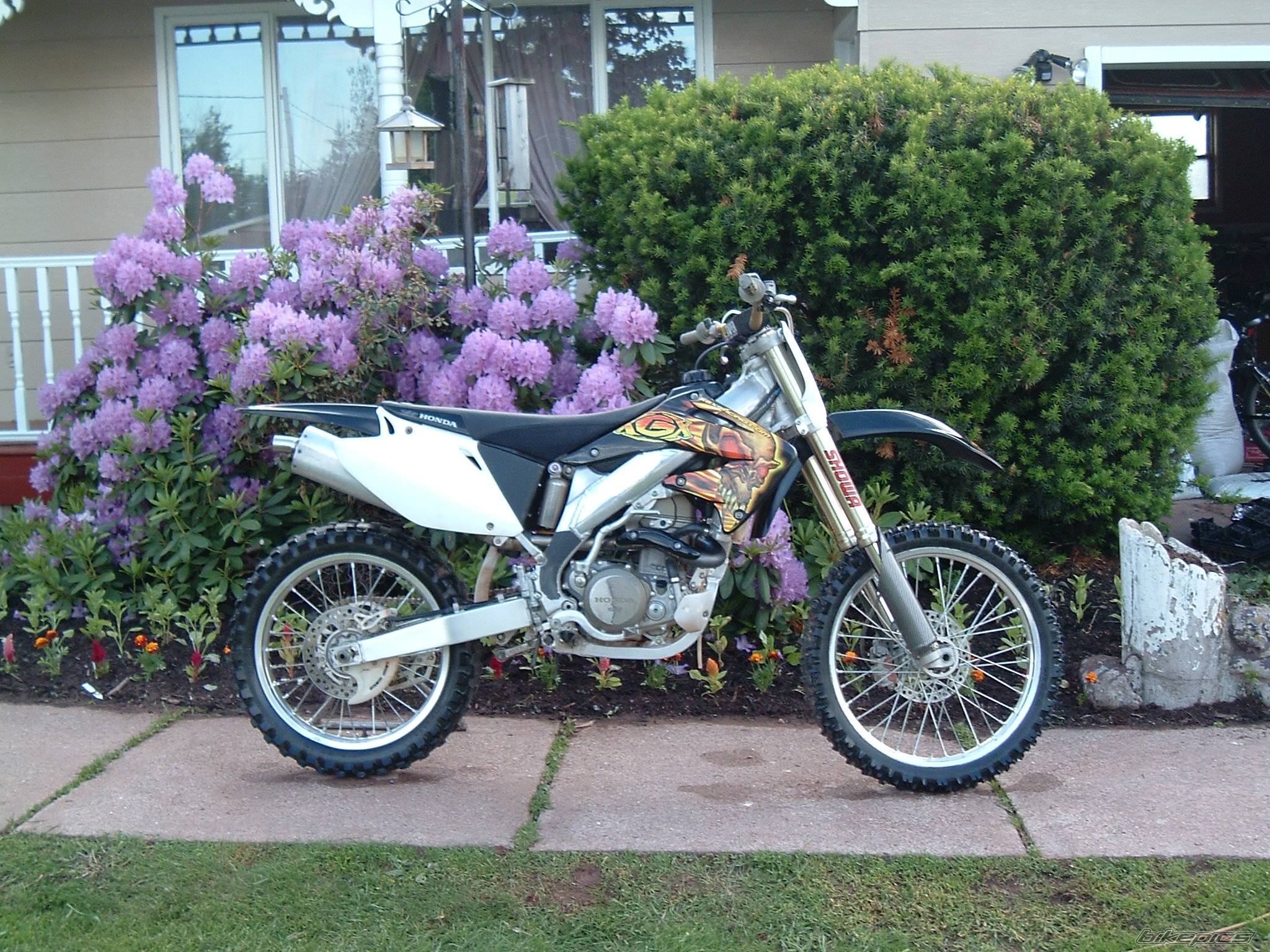 Photo 172116