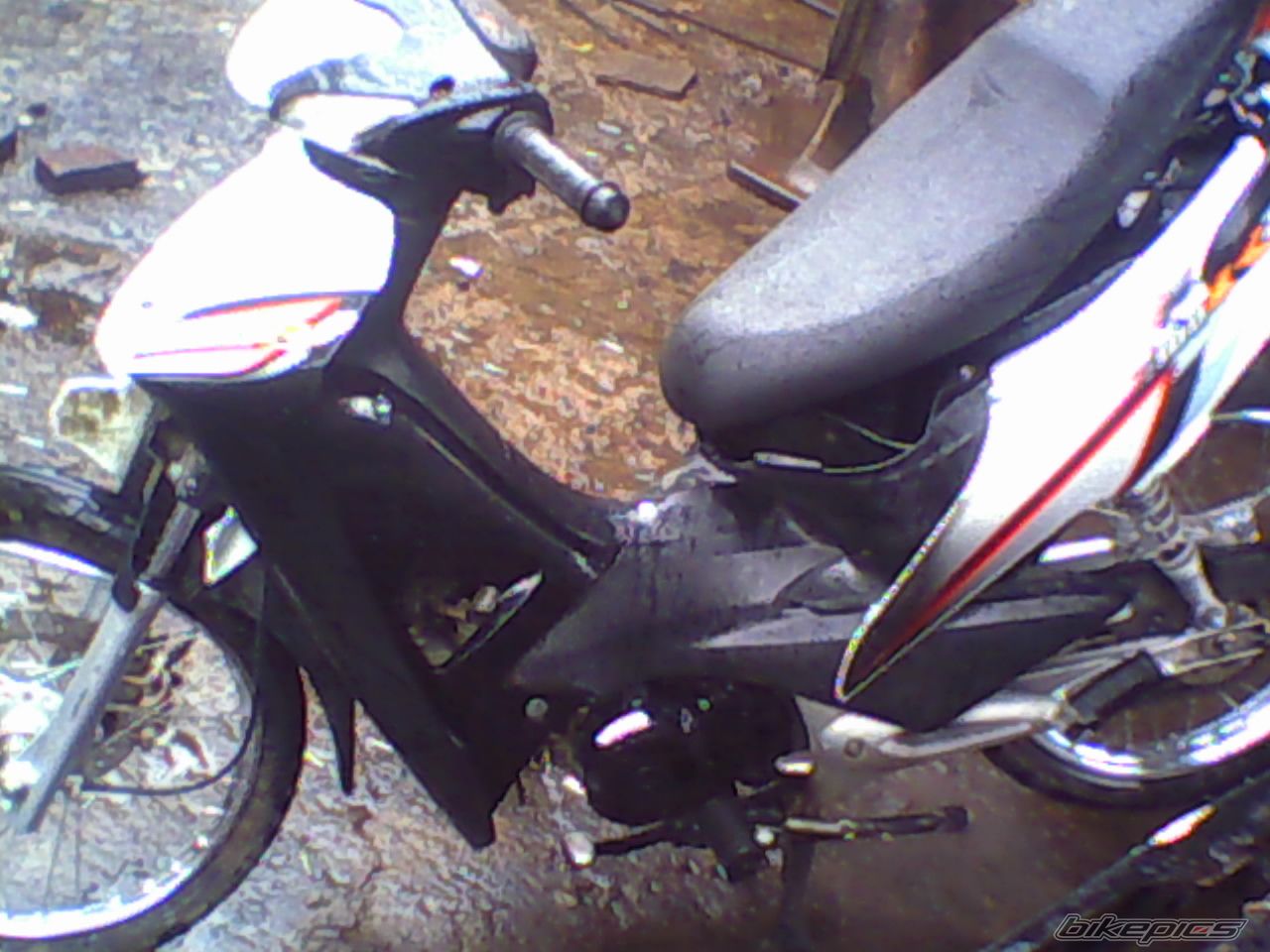 Photo 1721485