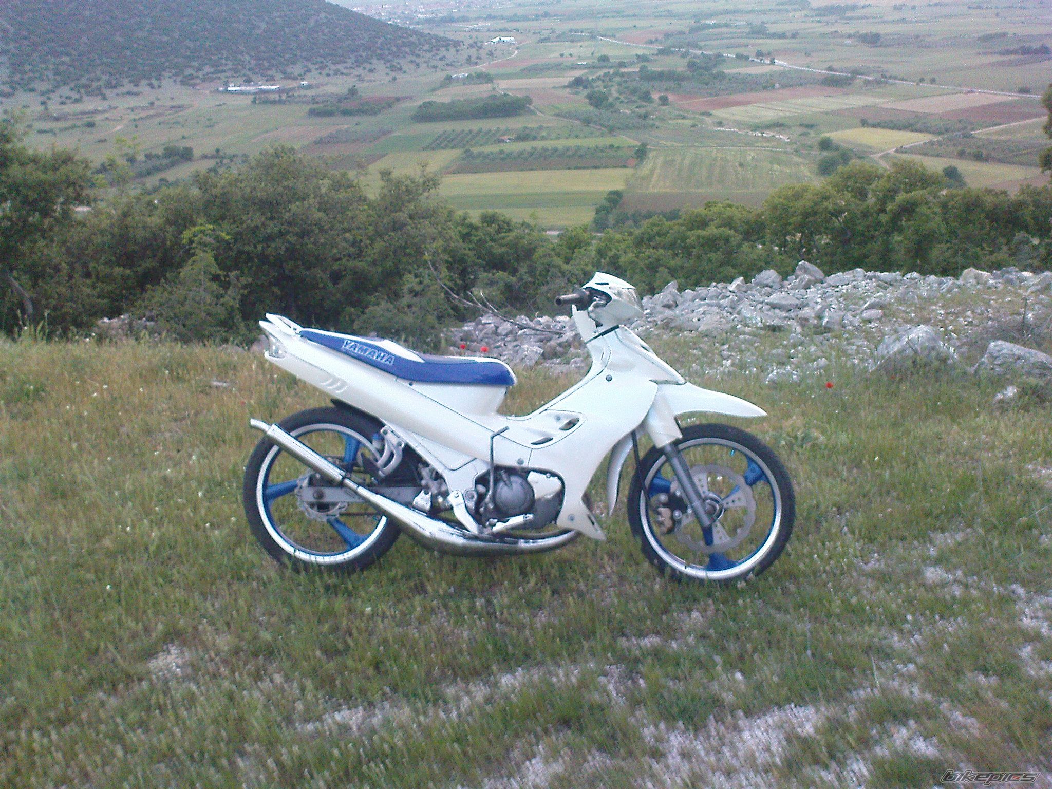 Photo 1721687