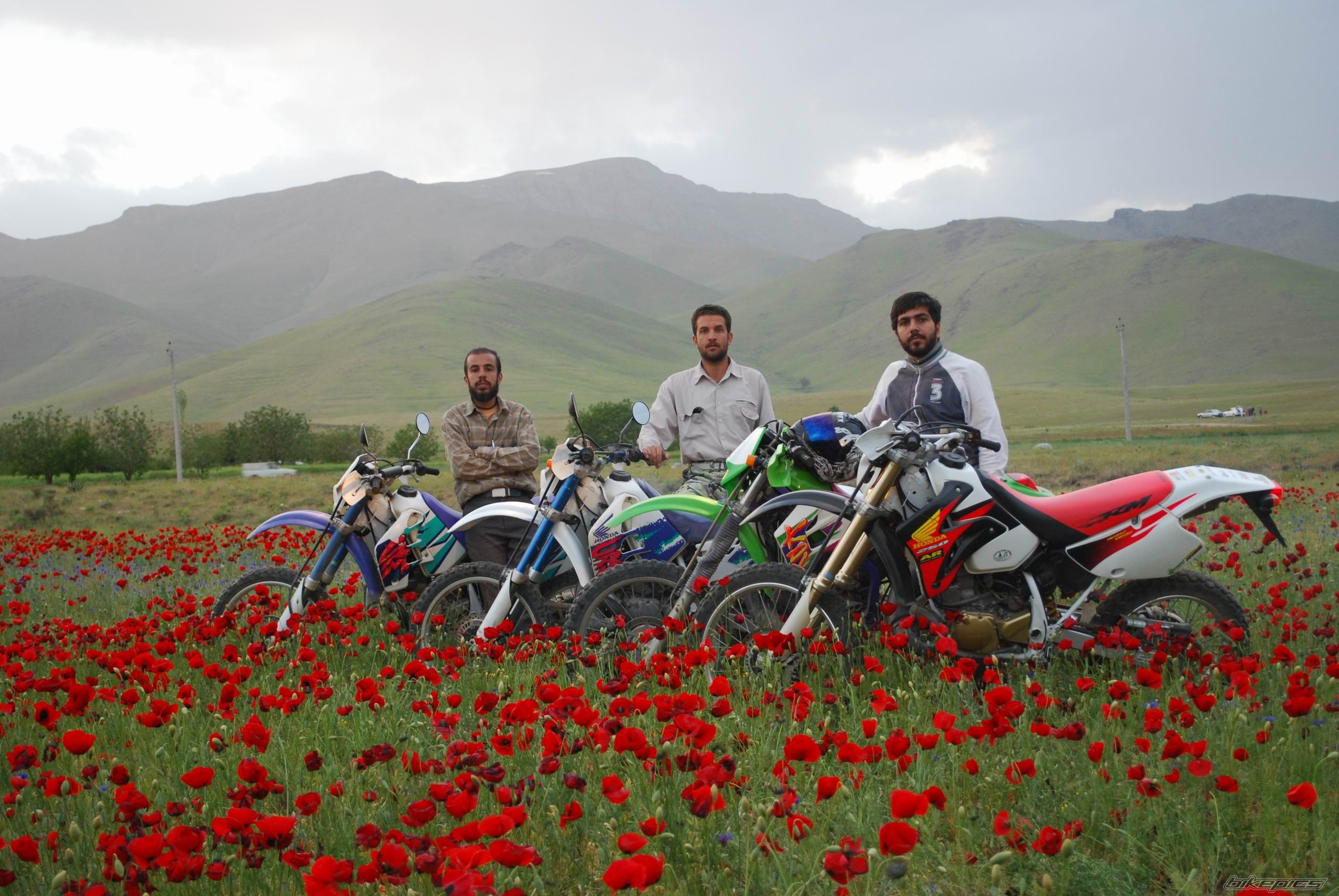Bike Photo 1721824