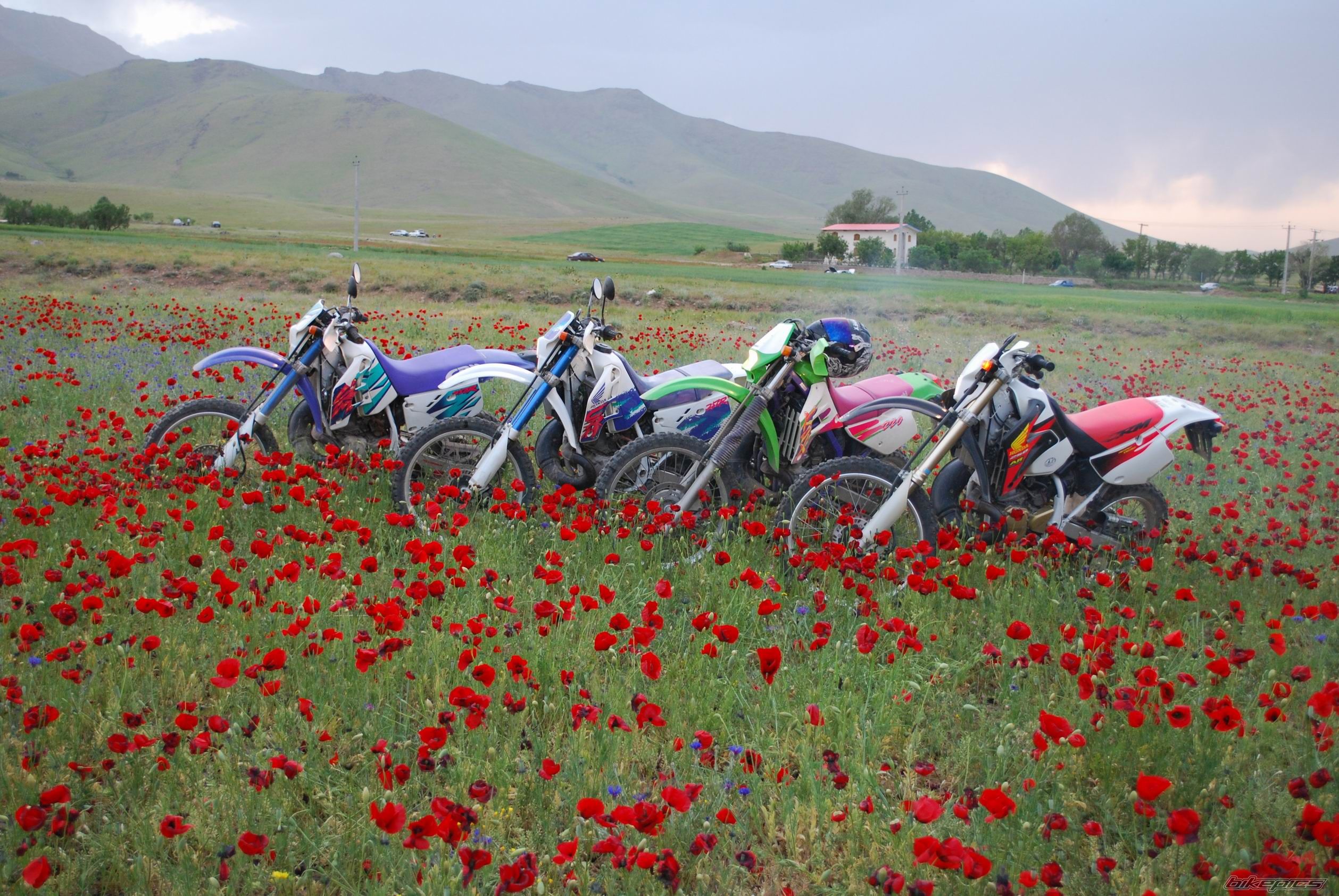 Bike Photo 1721826