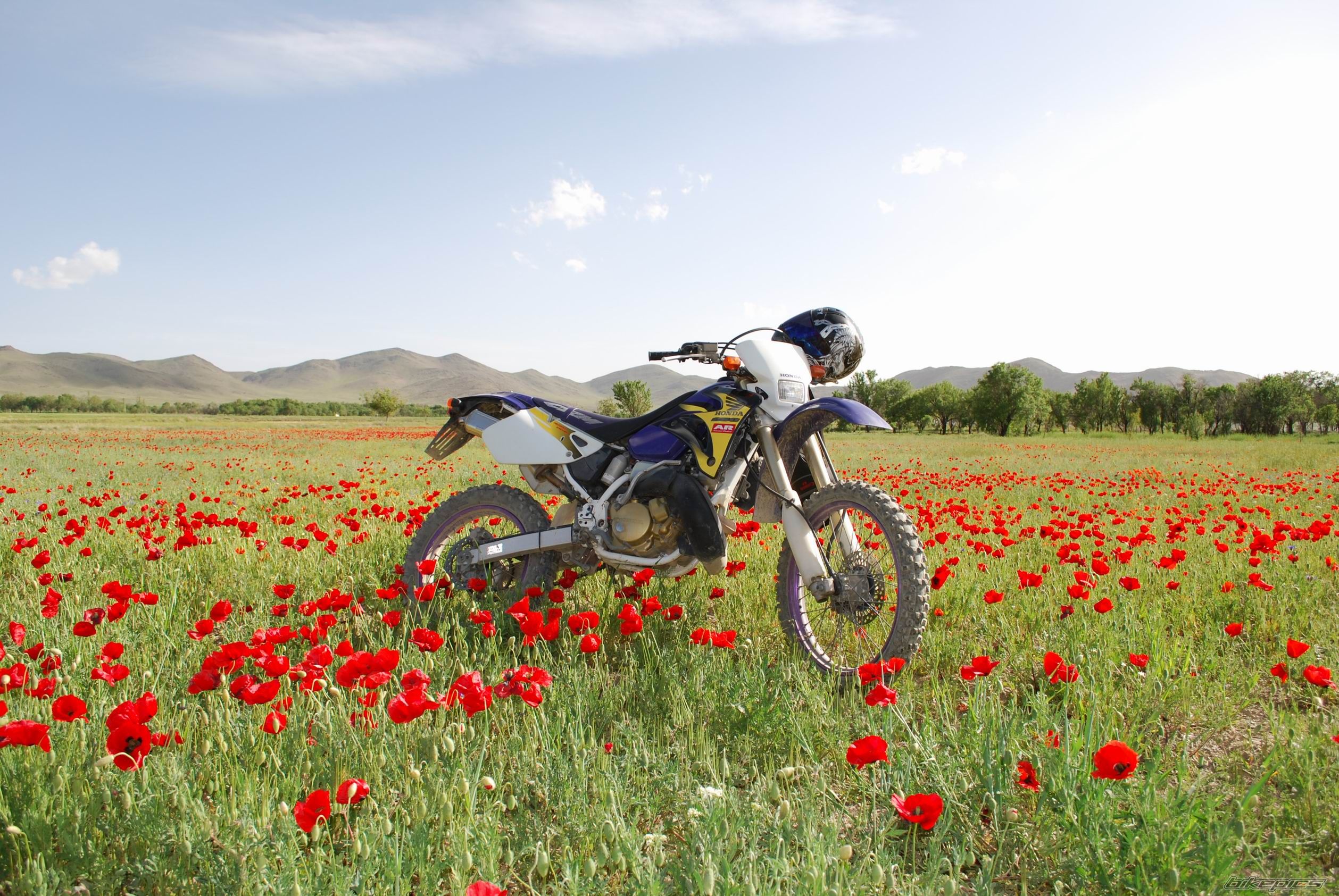 Bike Photo 1721830