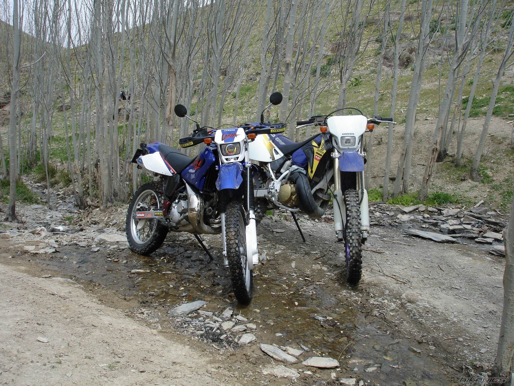 Bike Photo 1721834