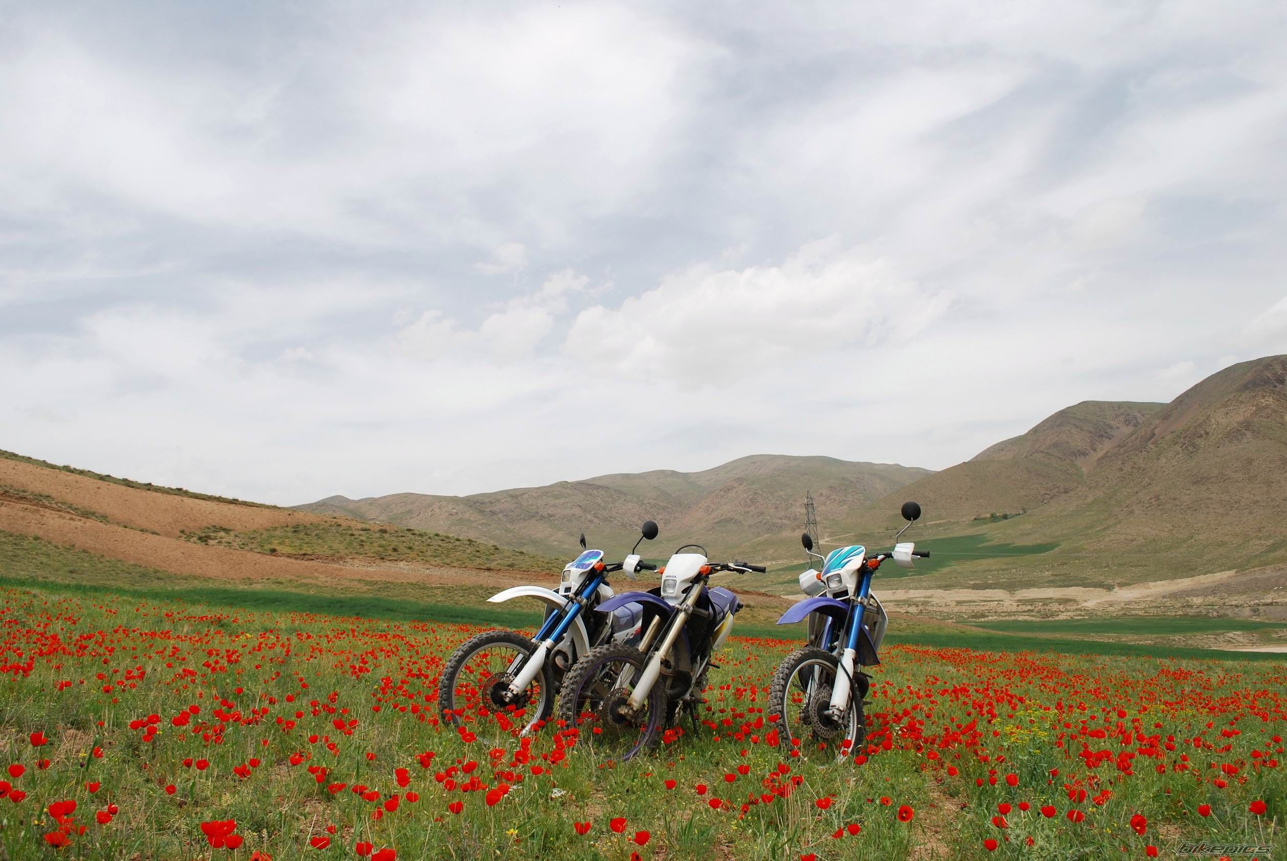 Bike Photo 1721835