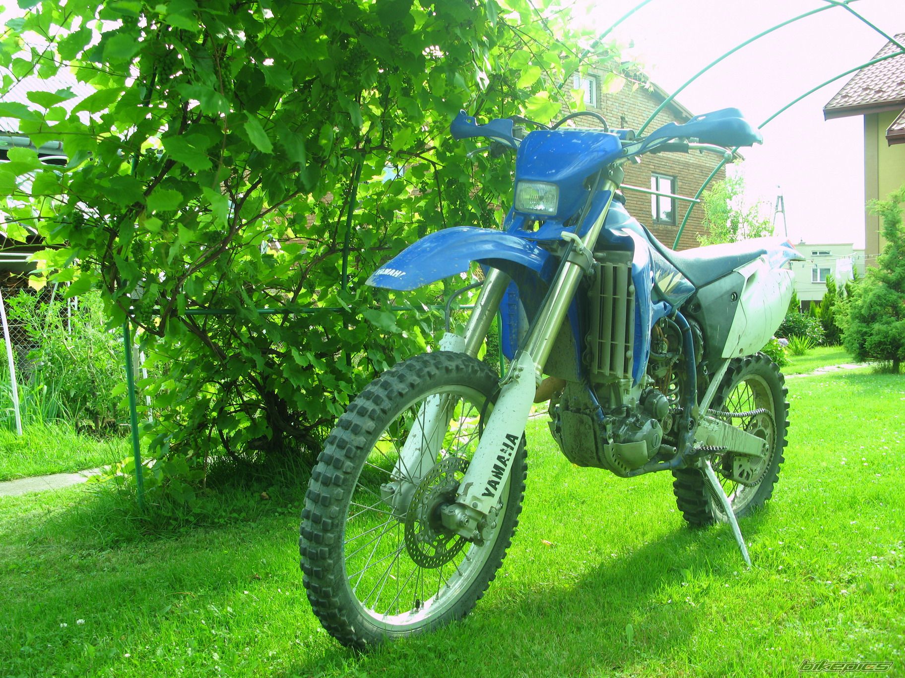 Photo 1721874