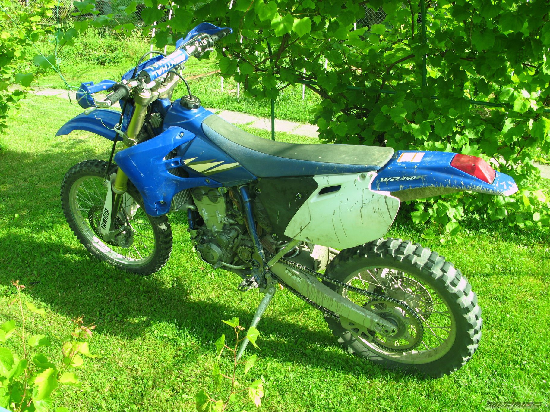Photo 1721875