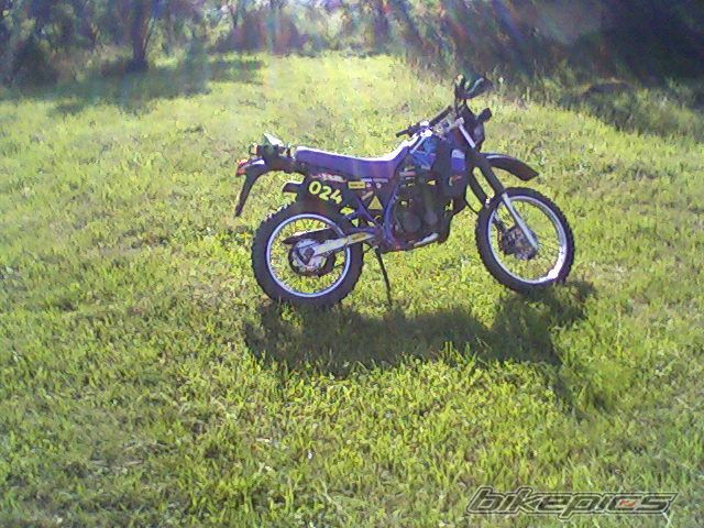 Photo 1721882