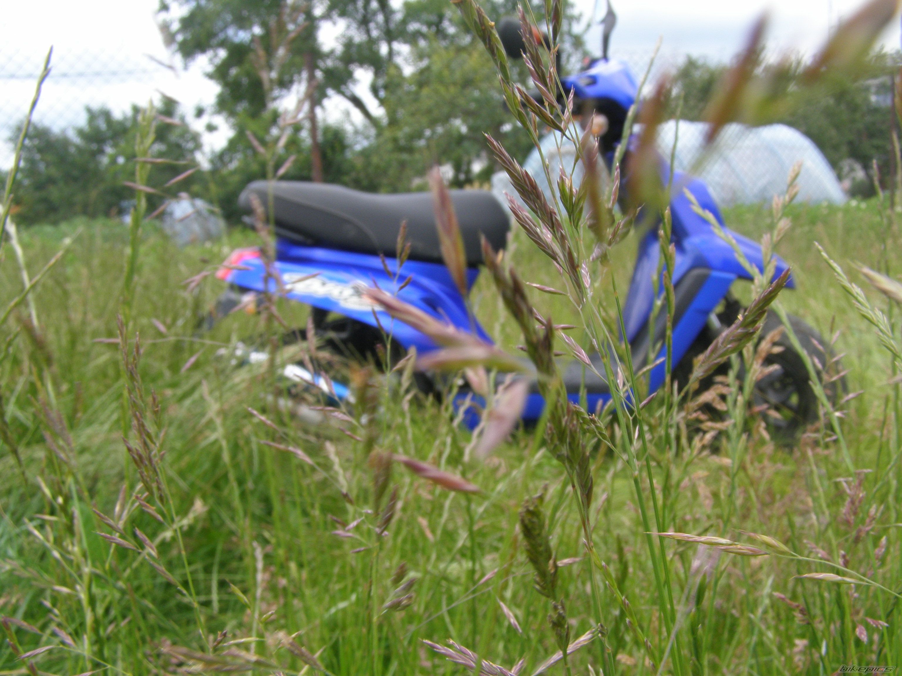 Photo 1722064