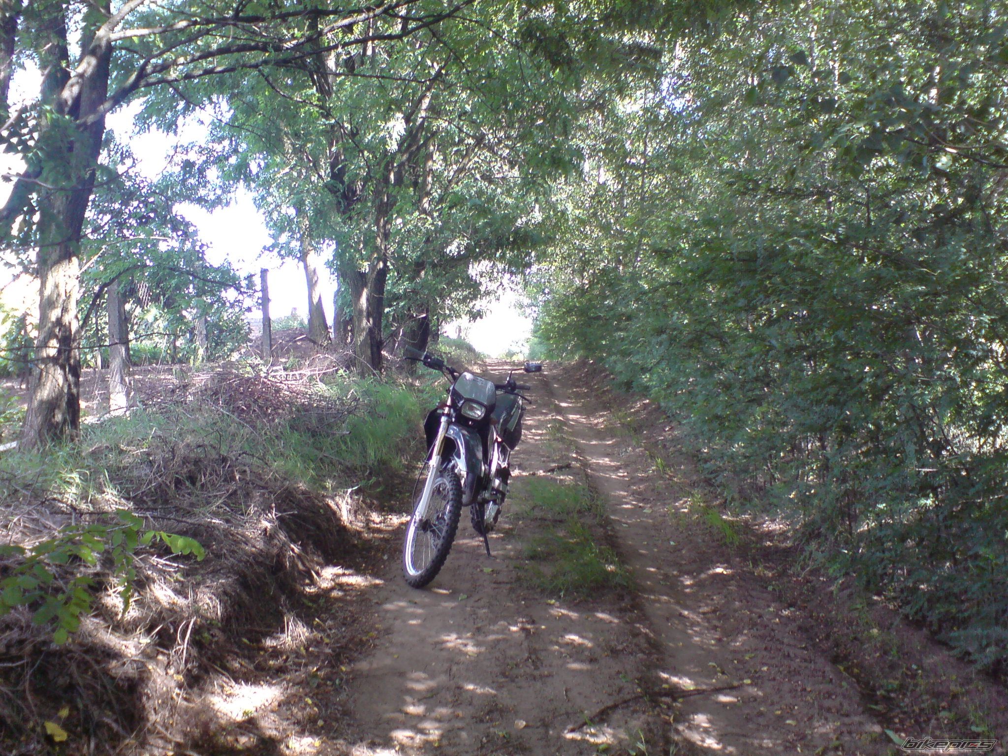Photo 1722612