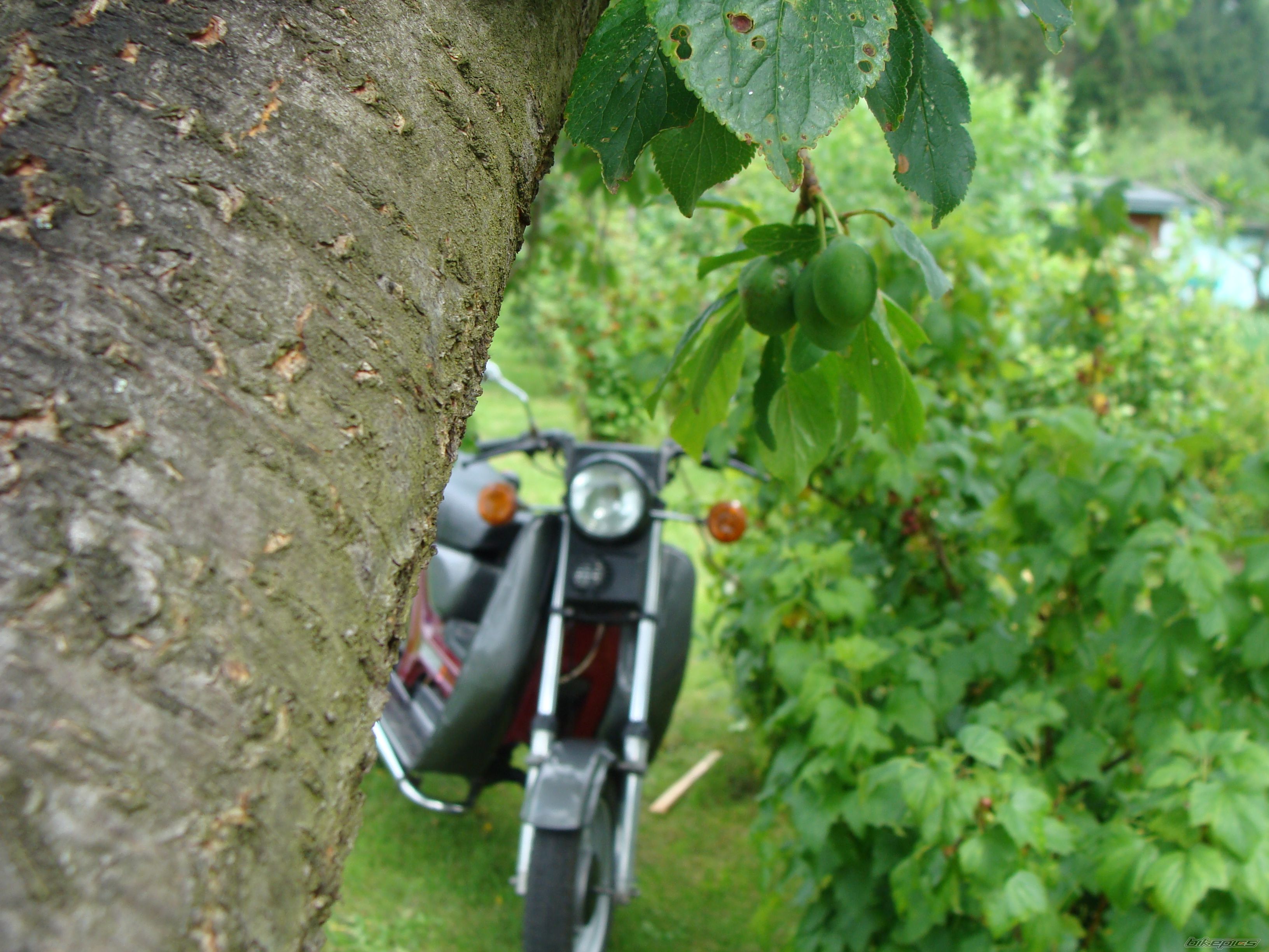 Bike Photo 1722675