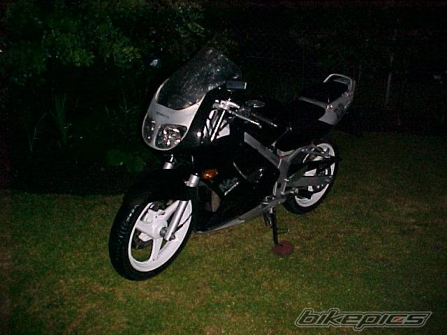 Photo 17231