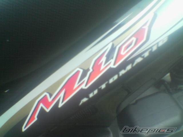 Photo 1723125
