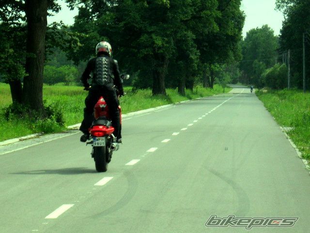 Photo 1723223
