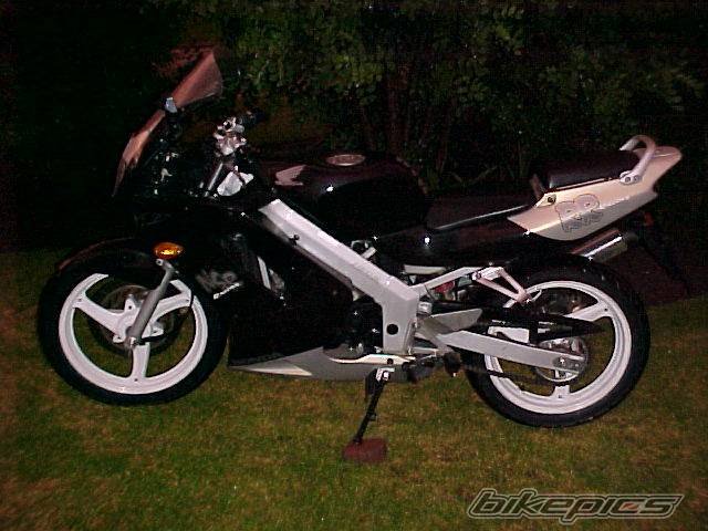 Photo 17233