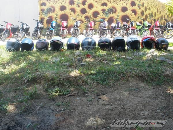 Photo 1723334