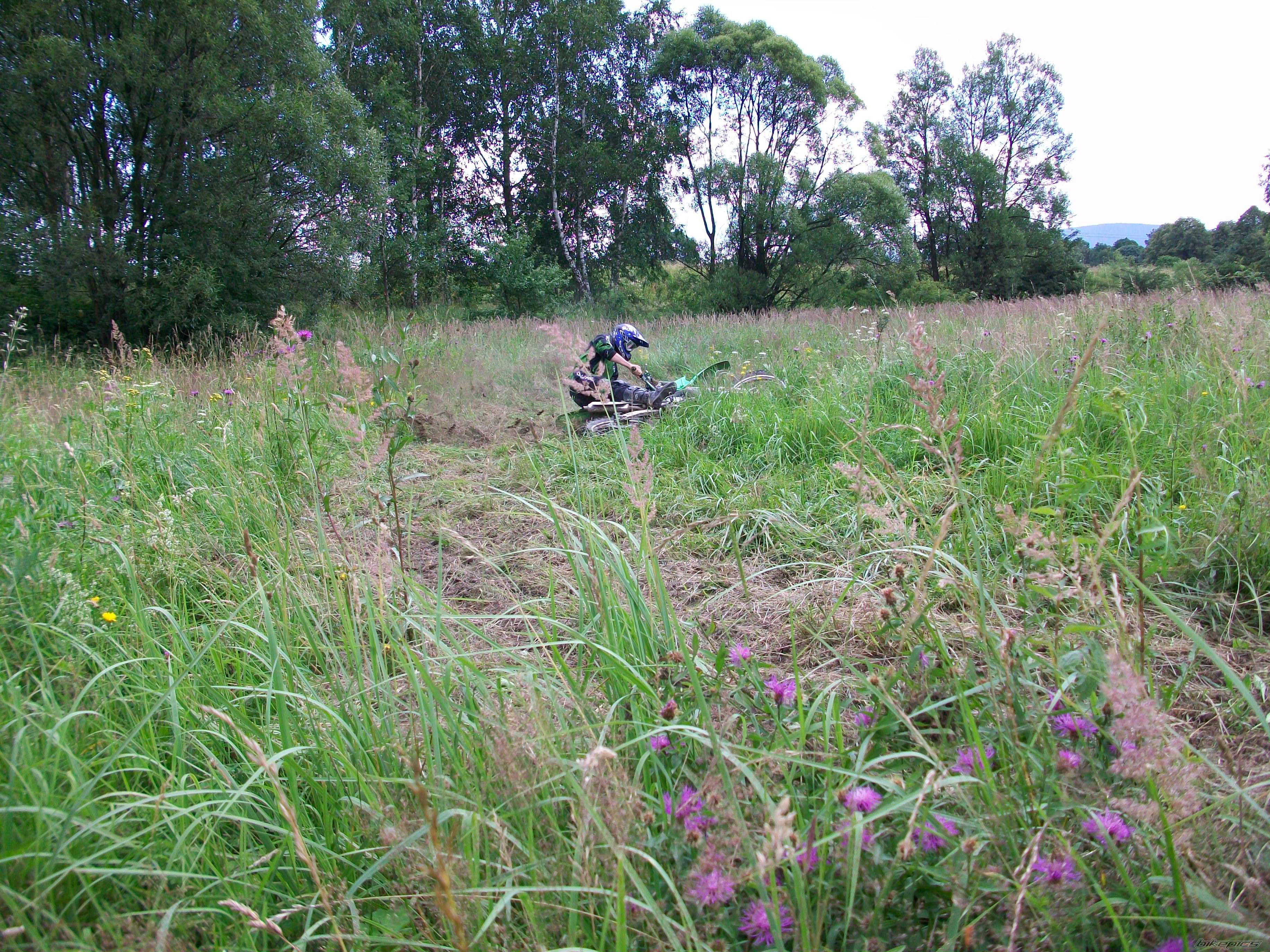 Photo 1723373